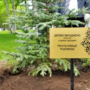 рослини
