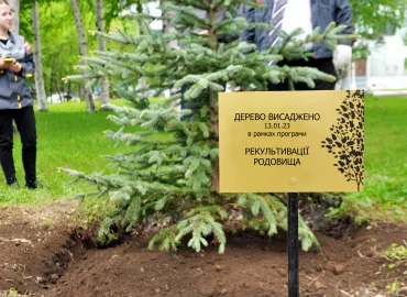 рослини