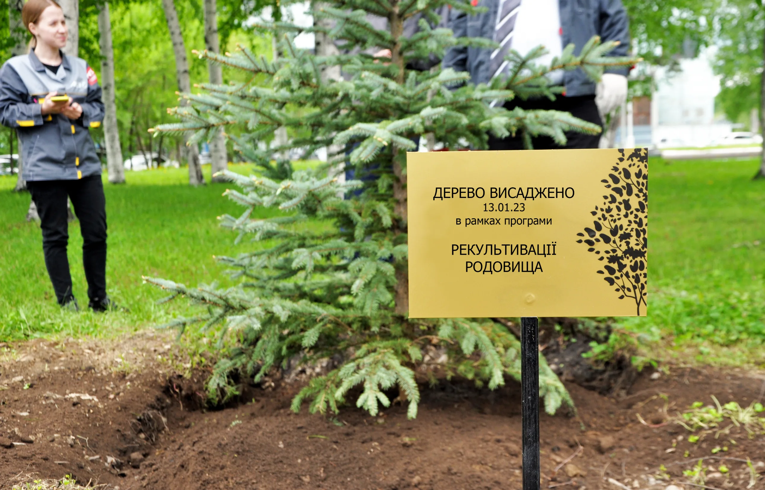 рослини
