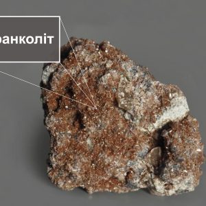 frankolit