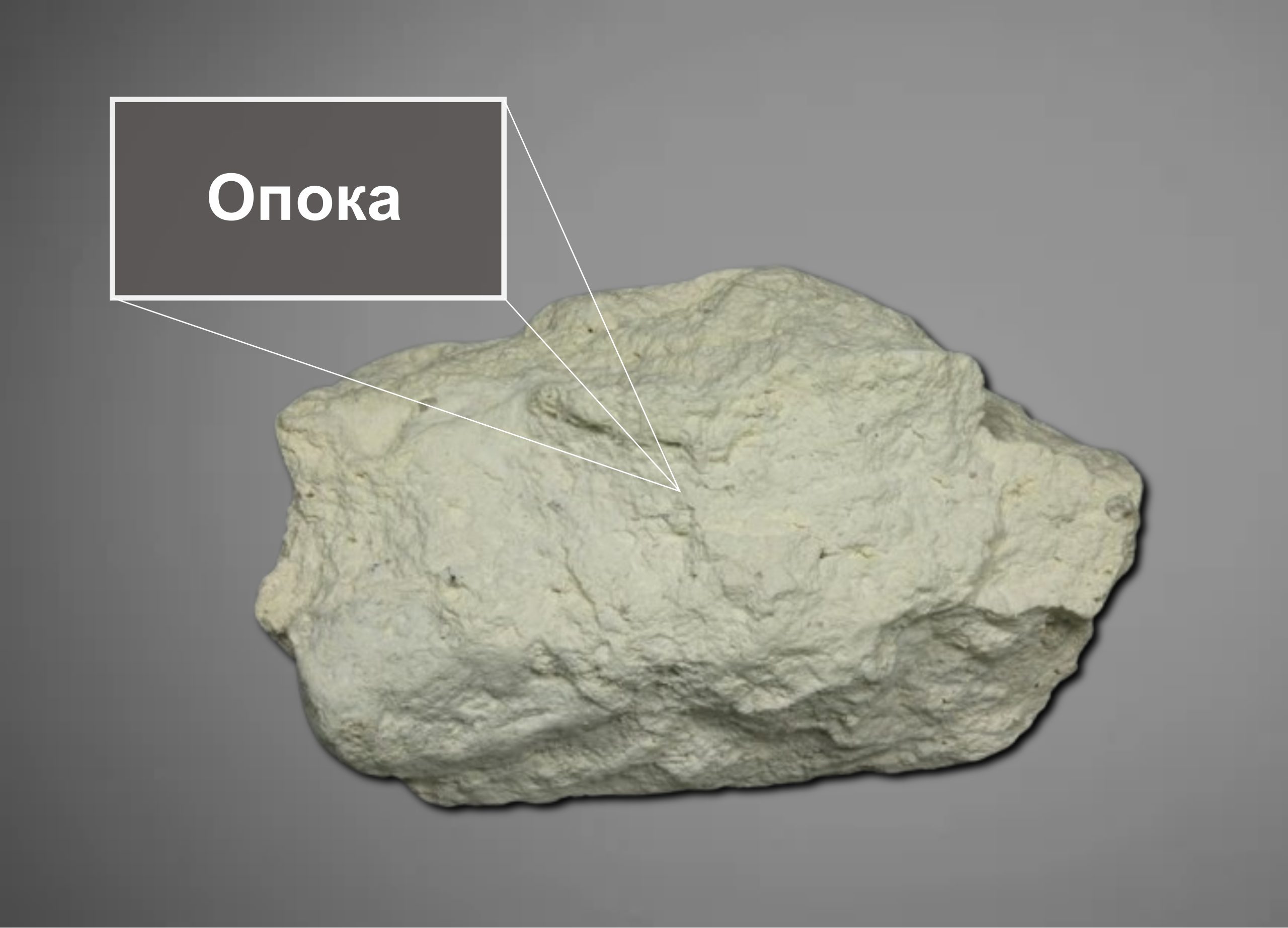 opoka scaled