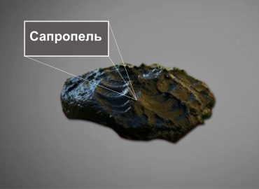 сапропель