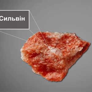 калійні солі