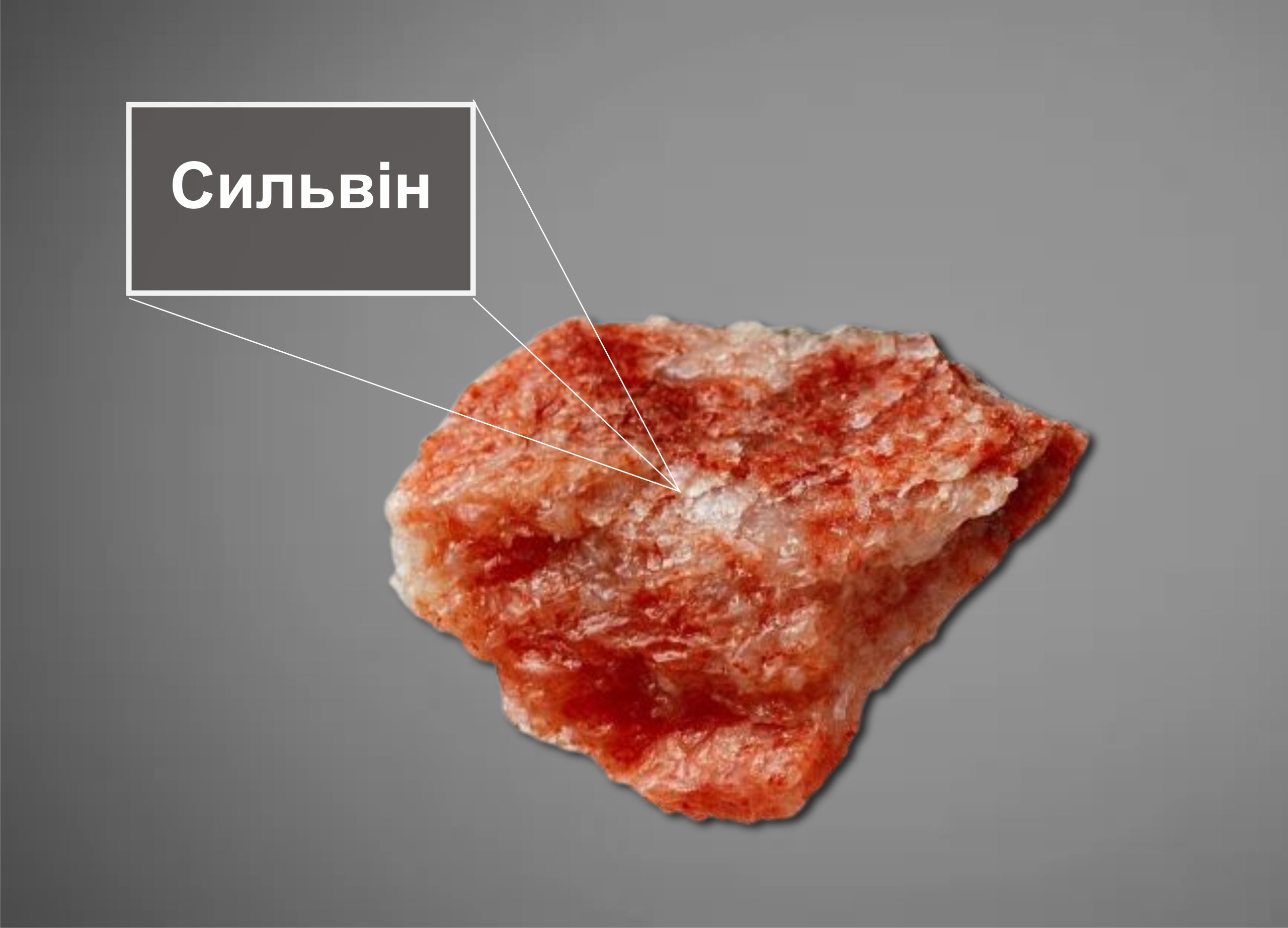 калійні солі