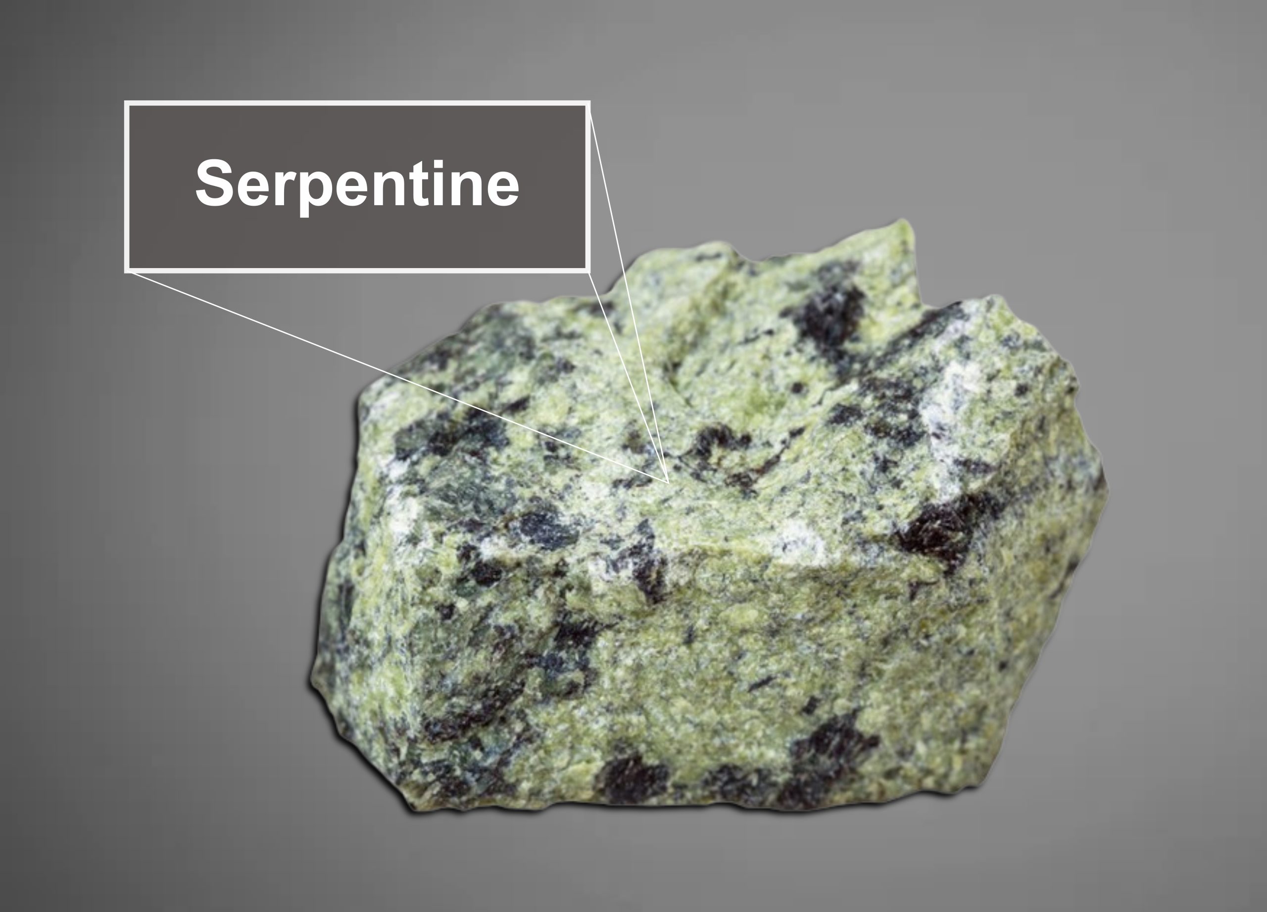 serpentine