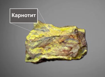 Ванадієві руди