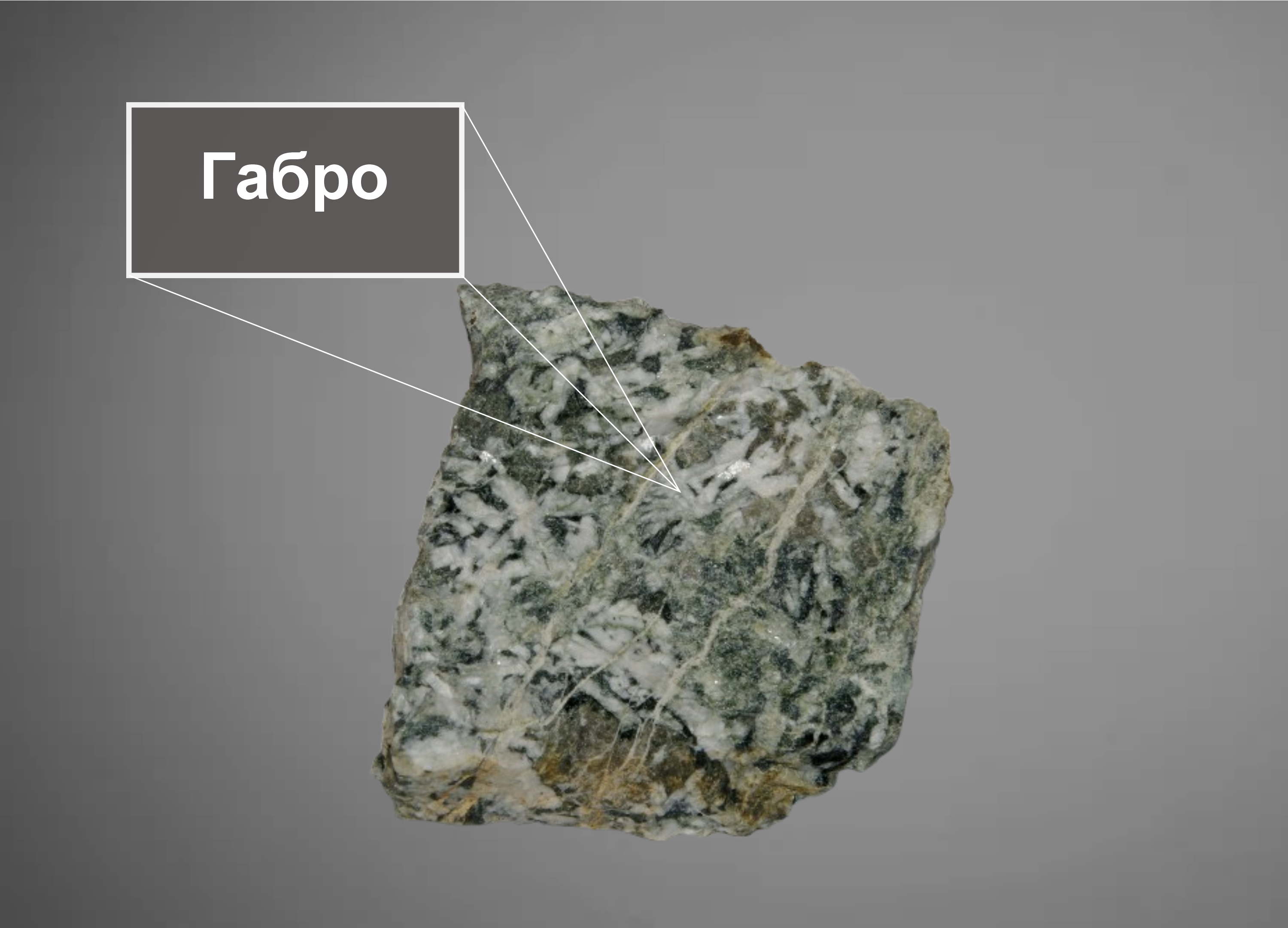 gabbro