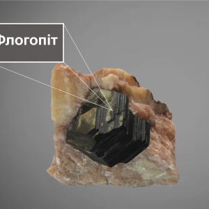 phlogopite