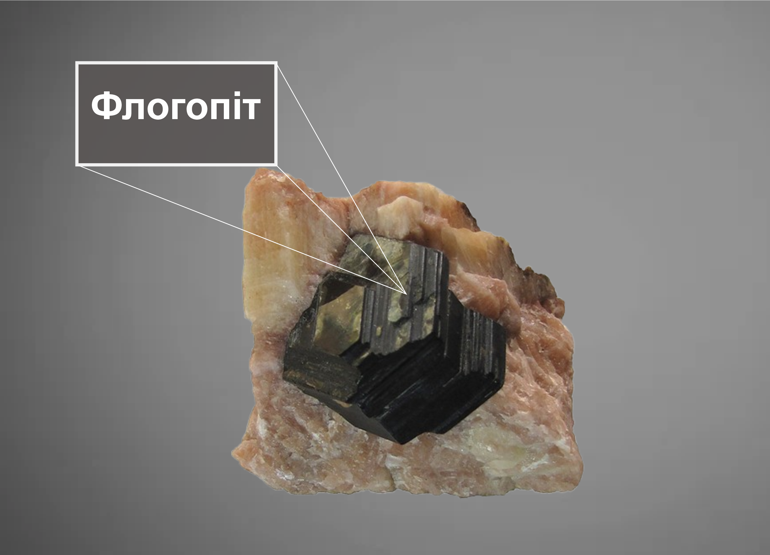 phlogopite
