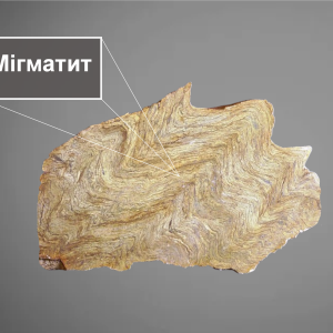 migmatite