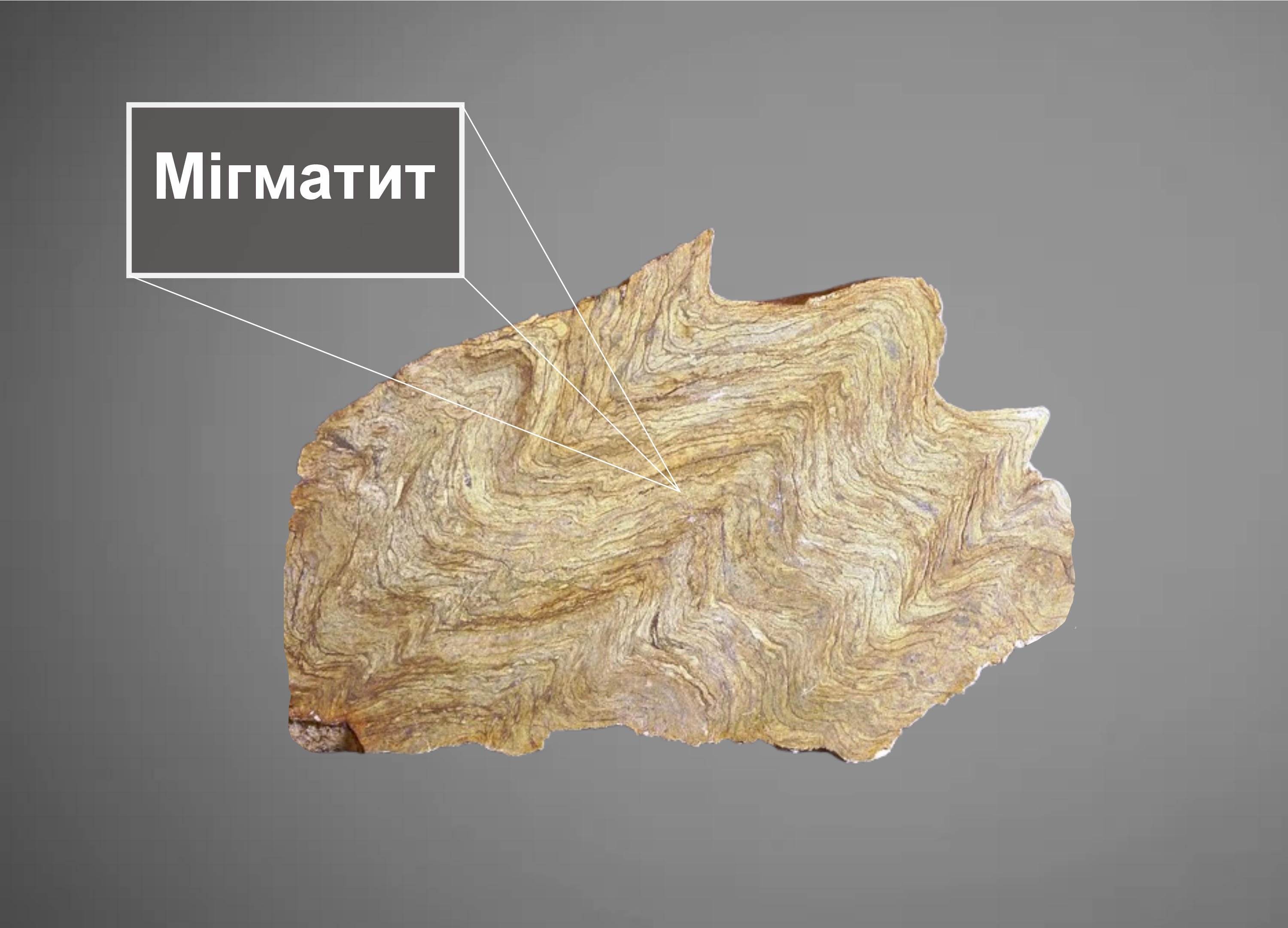 migmatite