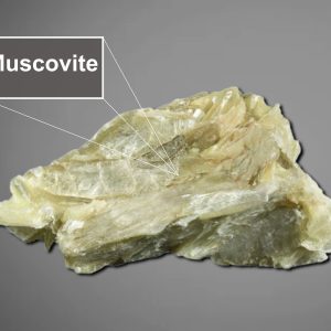 muscovite