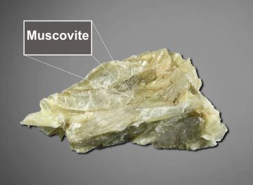 muscovite