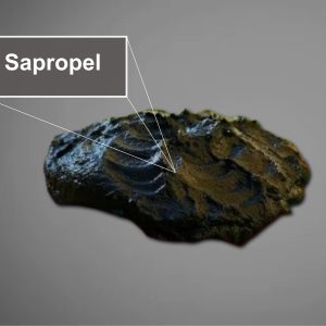 sapropel