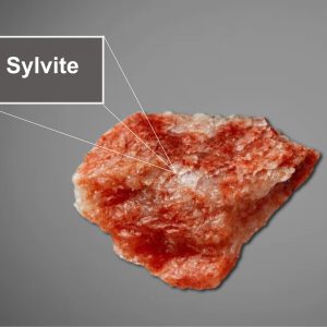 Potassium salts