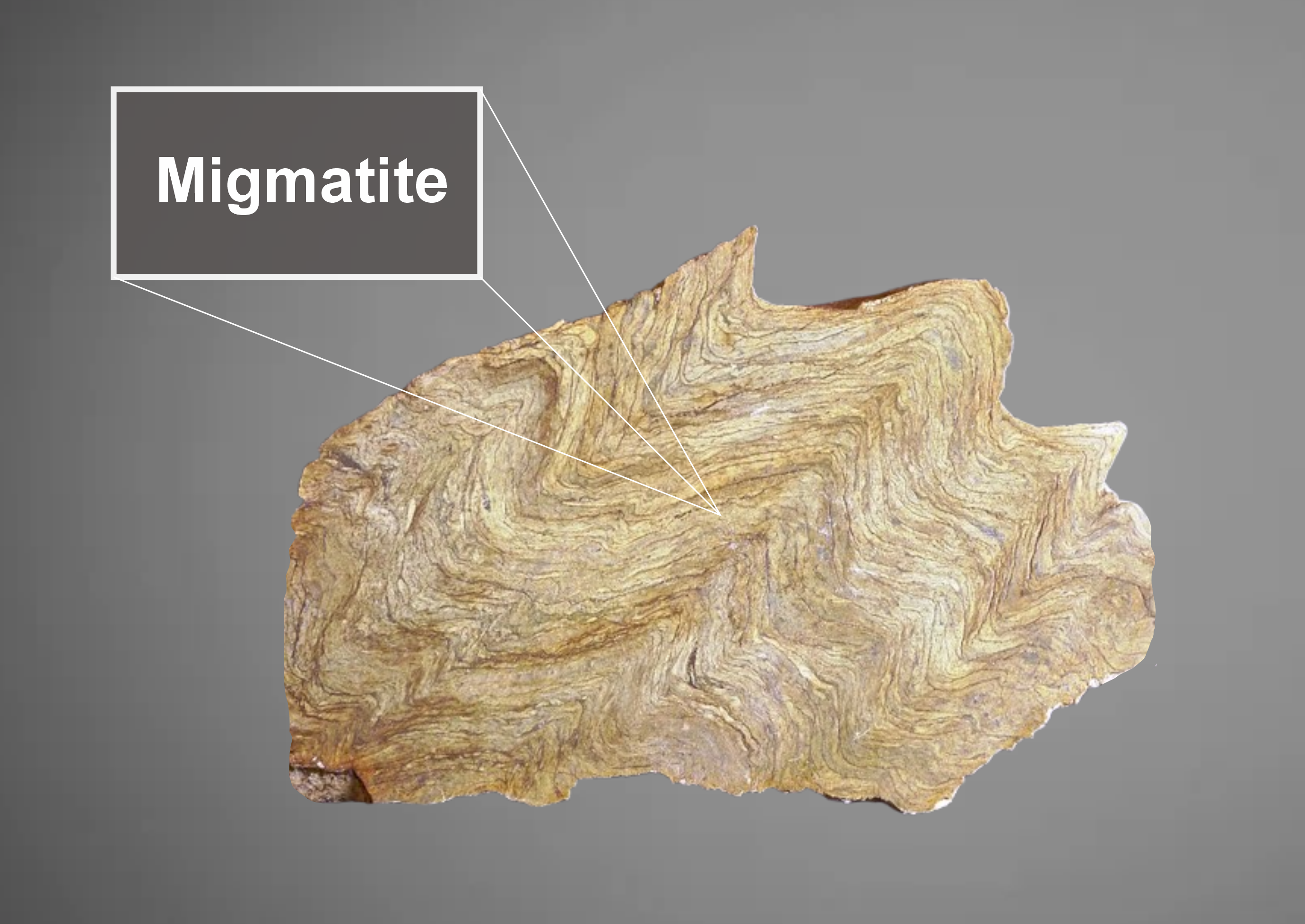 migmatite
