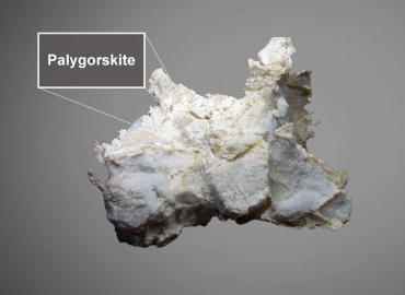 palygorskite