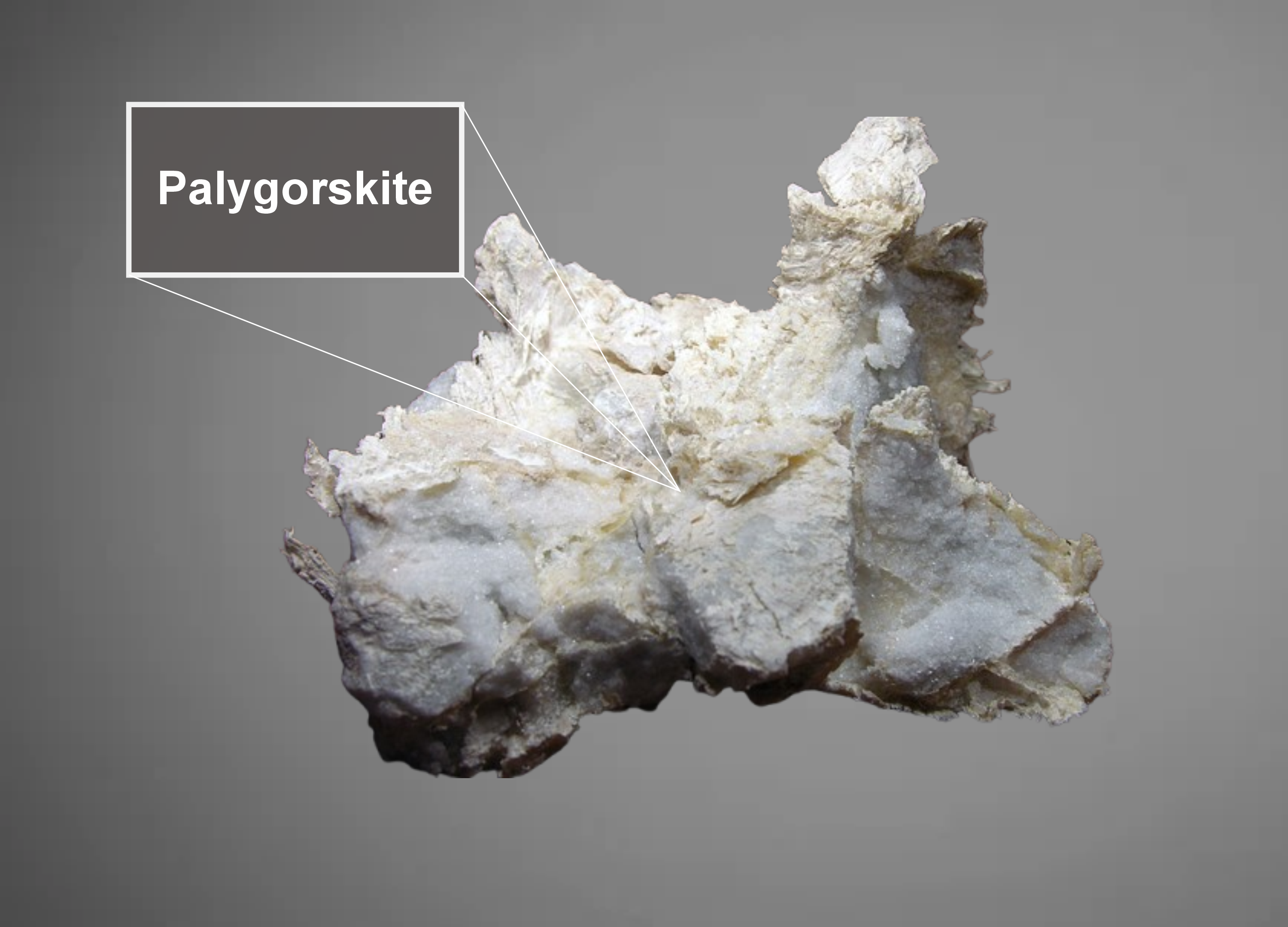 palygorskite