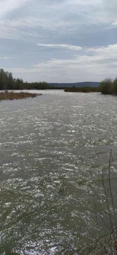 photo 2025 05 13 12 20 57 5