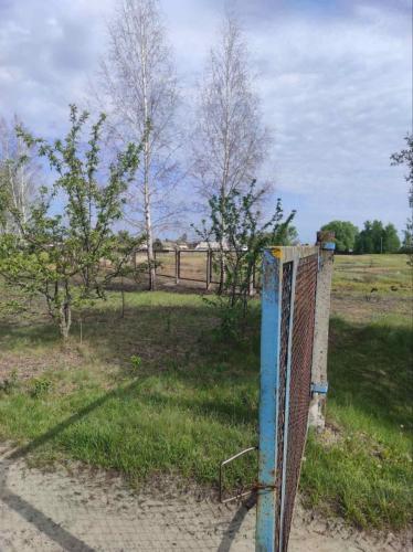 photo 2025 05 14 22 30 07