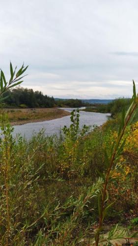 photo 2024 09 27 19 52 09
